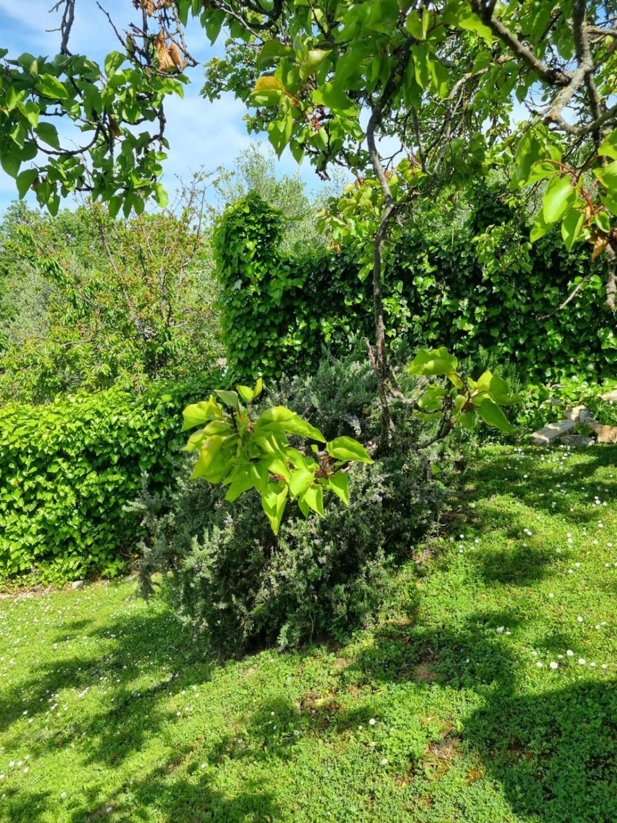 בית הארחה San Sano 	Dimora Nel Chianti מראה חיצוני תמונה