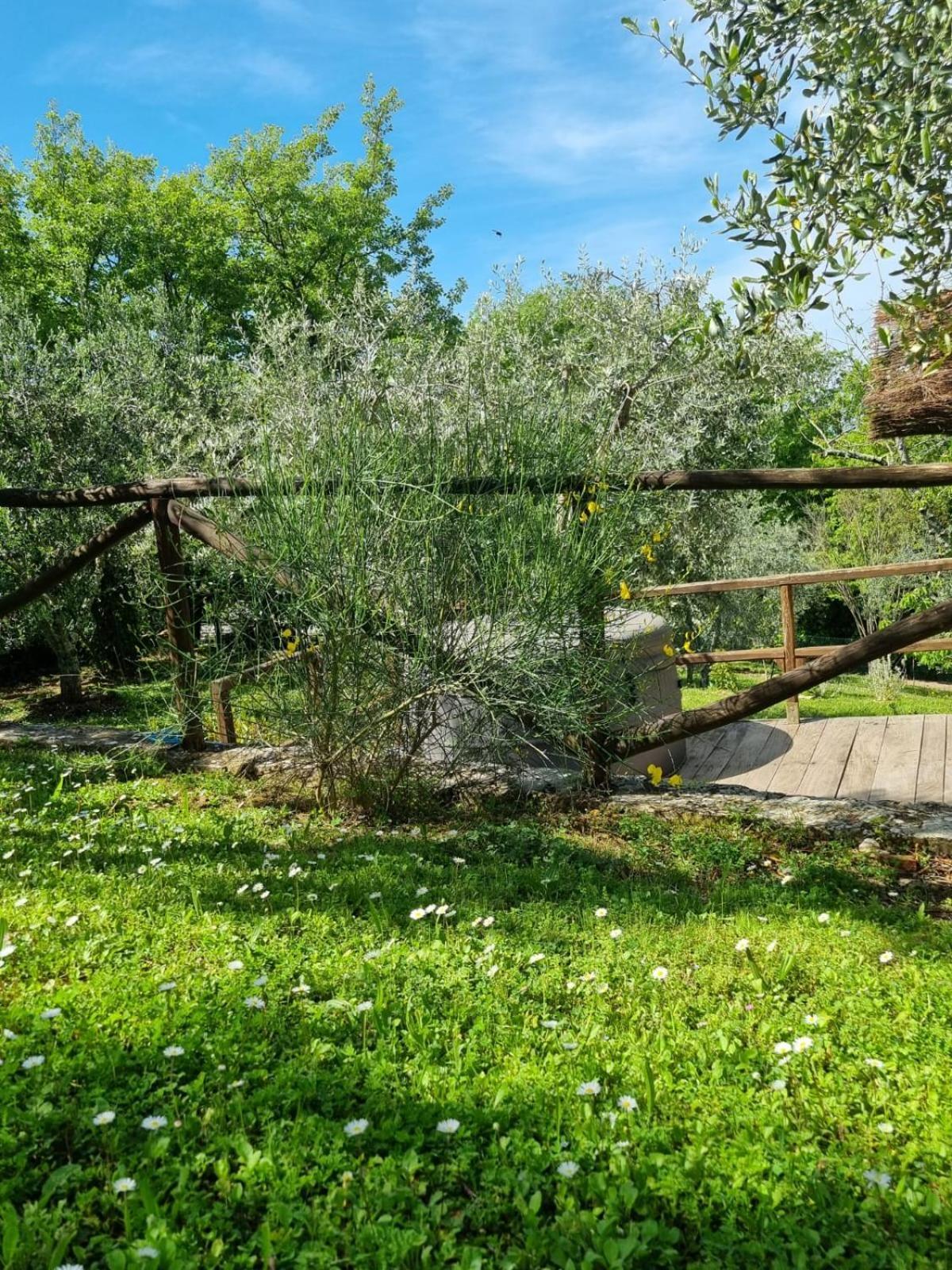 בית הארחה San Sano 	Dimora Nel Chianti מראה חיצוני תמונה